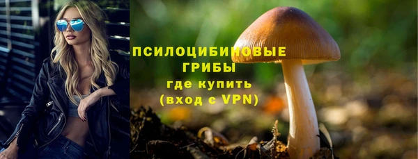 марки lsd Осинники