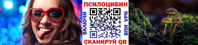 Купить закладки  Фокино  Псилоцибиновые грибы мицелий 