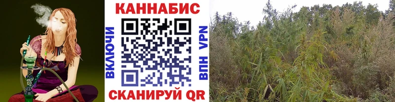 МАРИХУАНА OG Kush  Купить  Фокино 